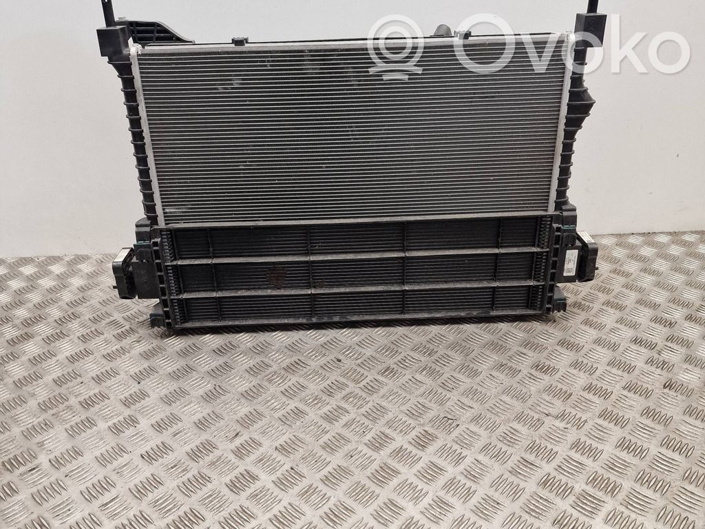 Mini Electric (Cooper SE) Set del radiatore 