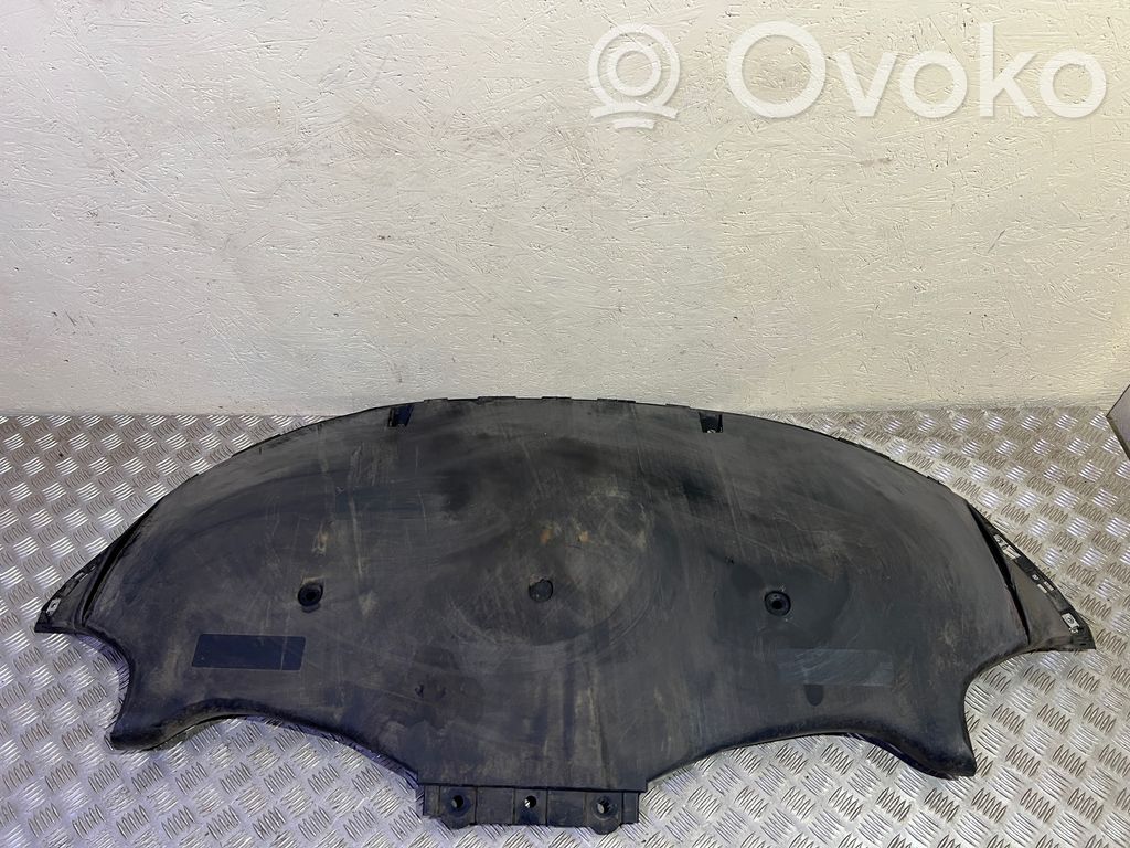Tesla Model 3 Dugno apsauga 