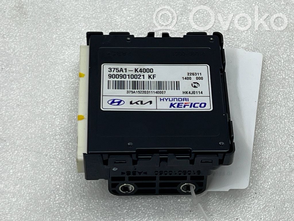 Autres unités de commande / modules   375A1K4000