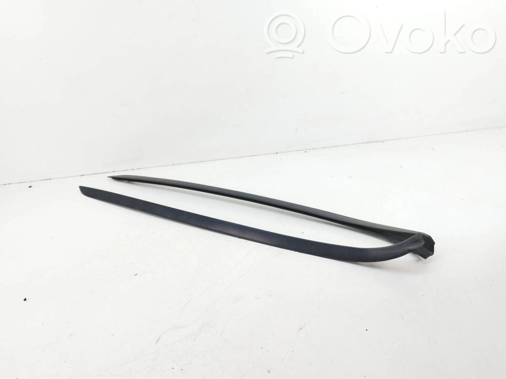 Windshield trim   7179264,7179263