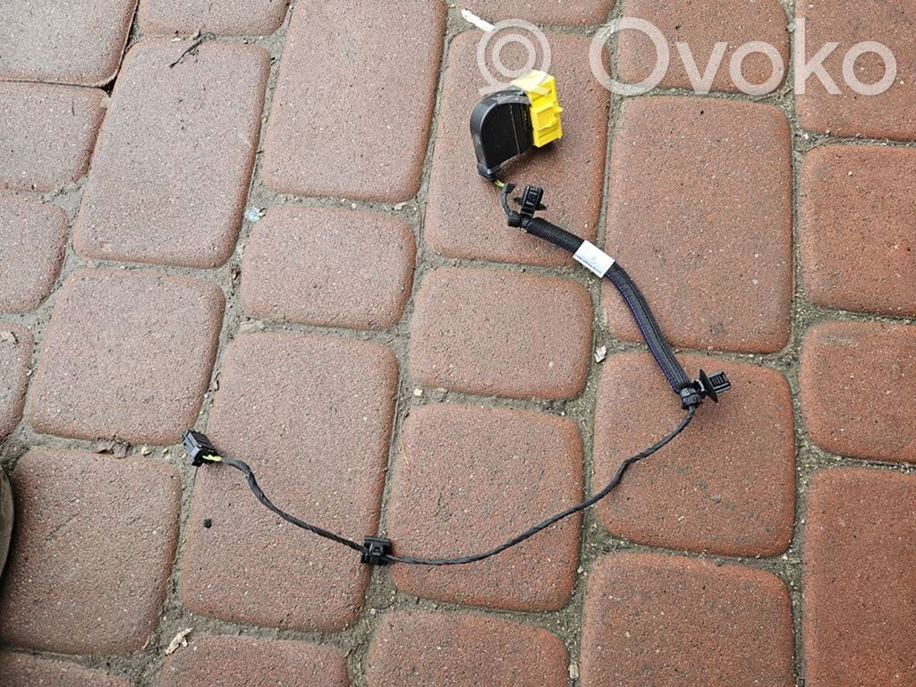 Other wiring loom   1903579,16504992,17670,34TYS,TOYOTAPROACECITY