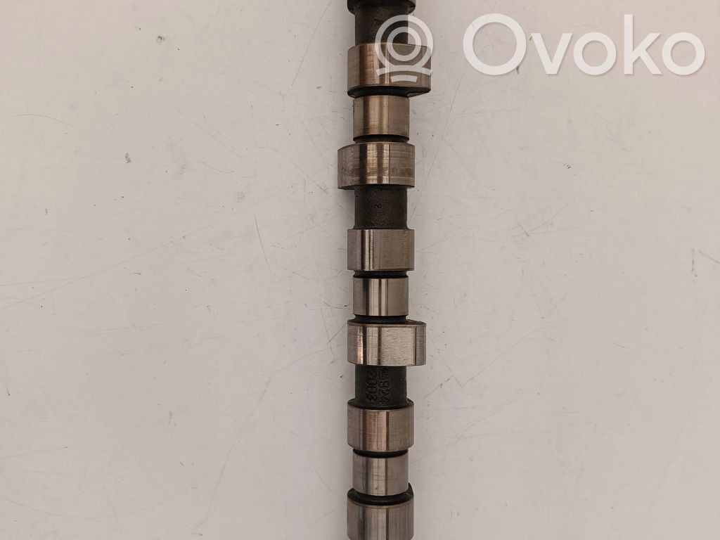 Sadales vārpsta   9242003