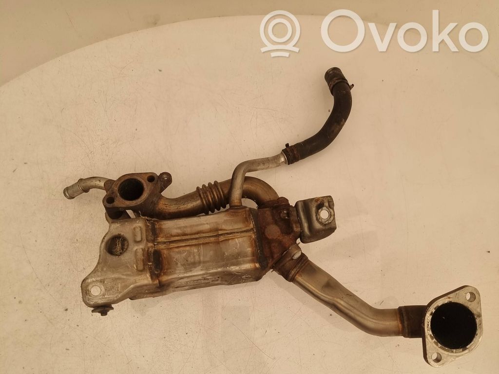 EGR valve cooler   55576871