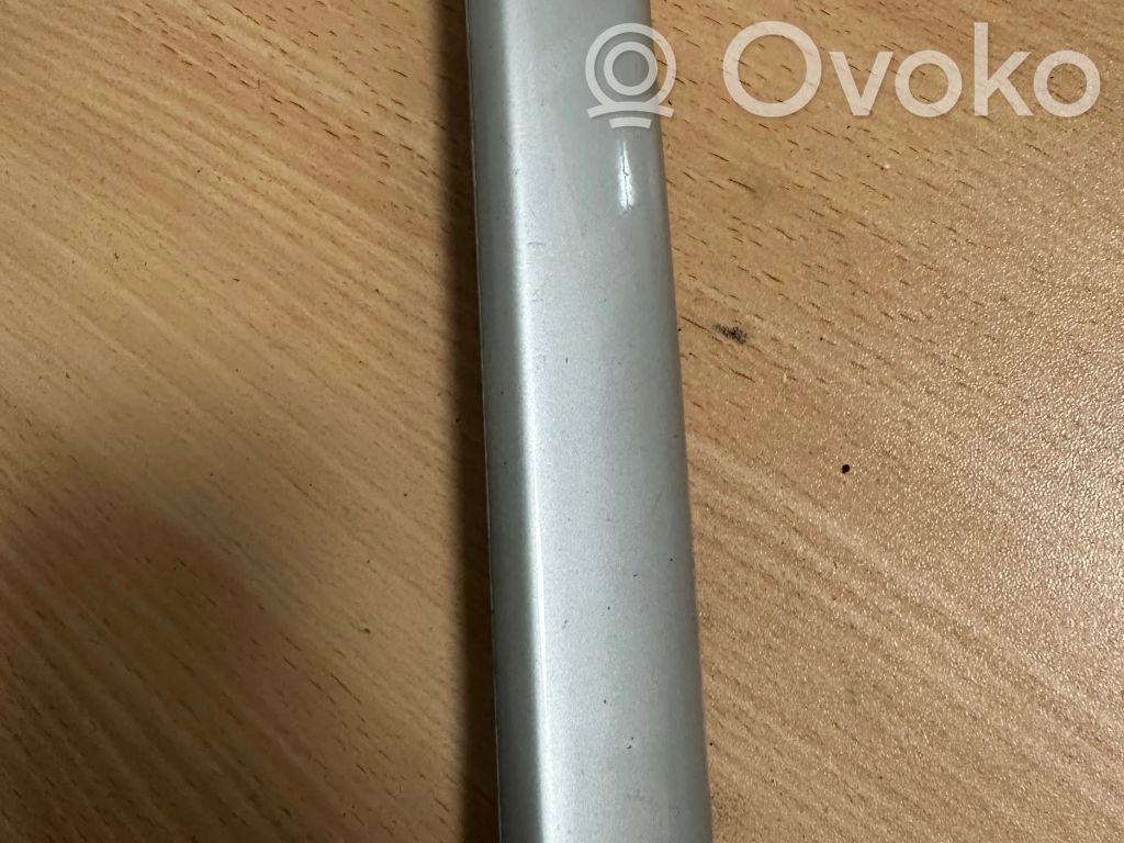 Rivestimento della portiera anteriore (modanatura)   7004022