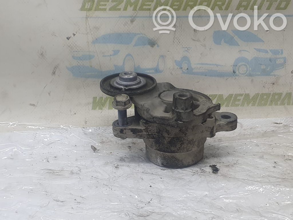 Generatoriaus diržo atraminis guolis   F60586504