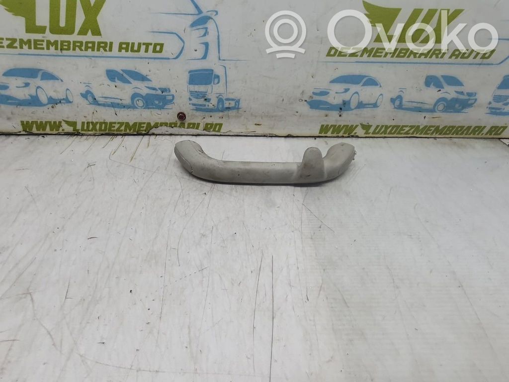 Handrail (top trim)