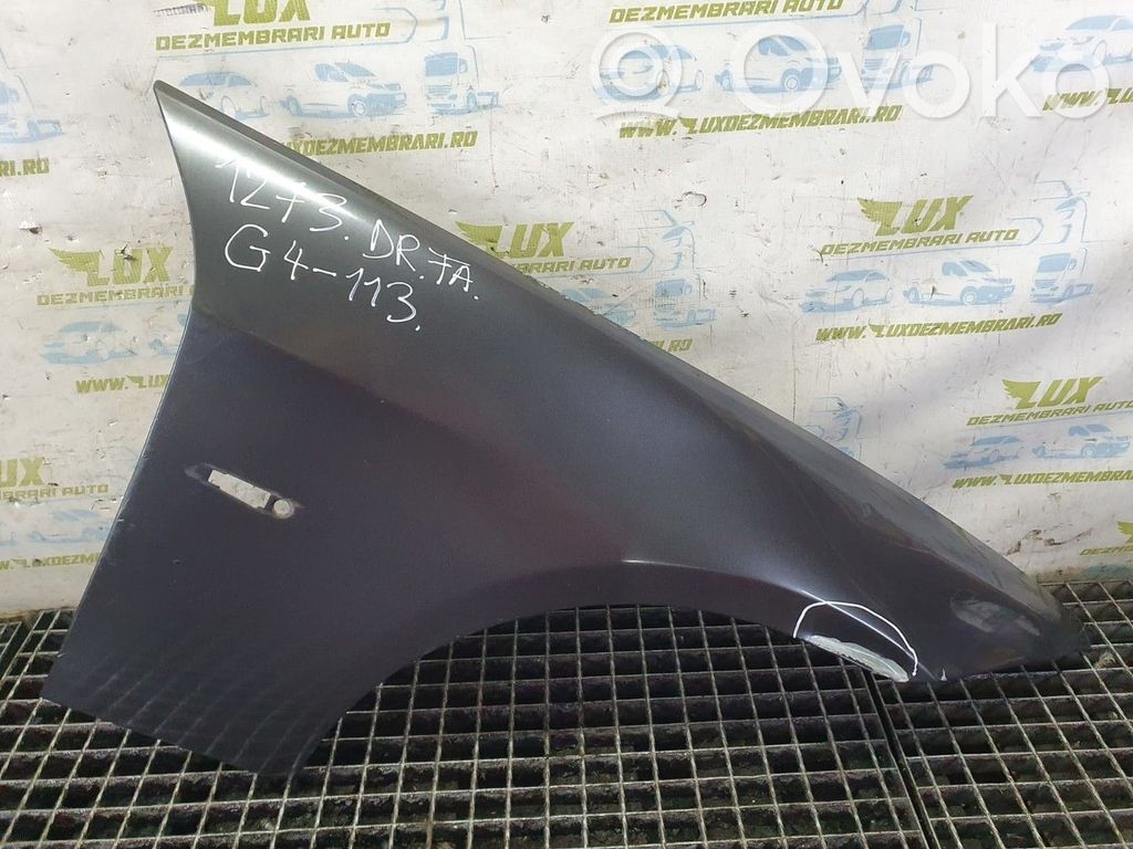 Fender