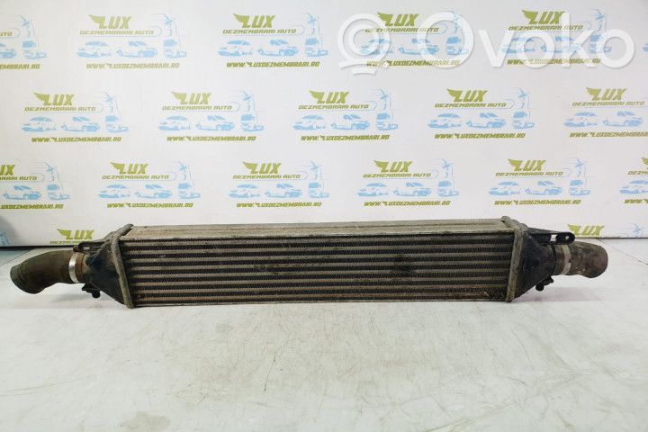 Fiat Doblo Intercooler radiator 