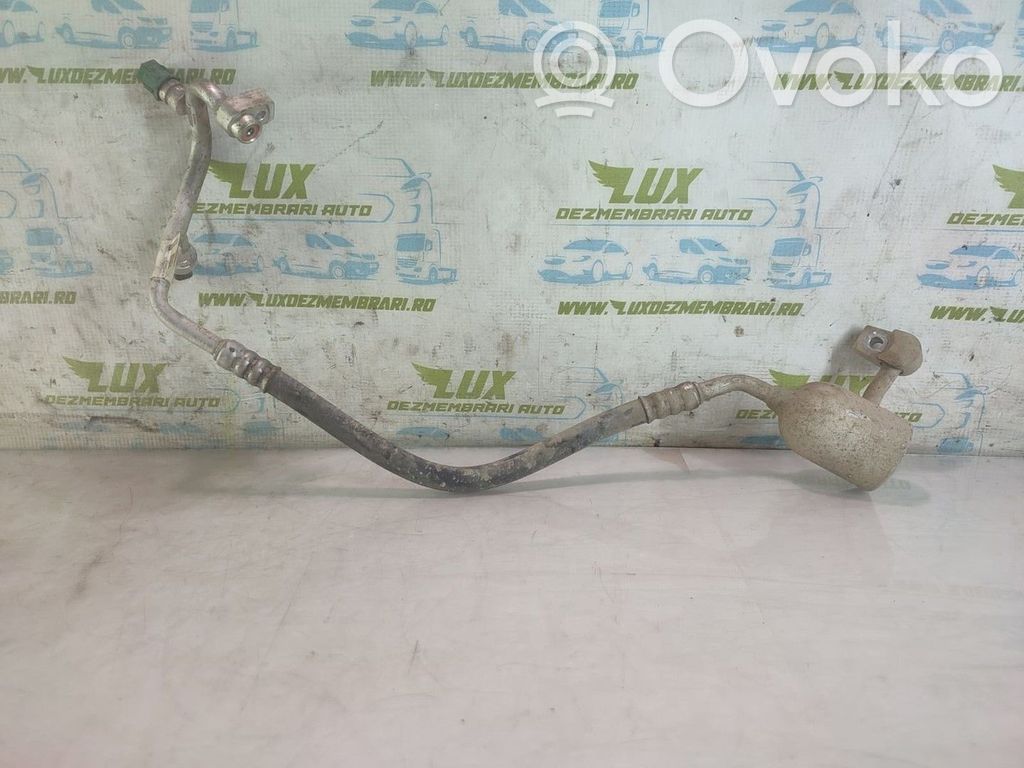 Ford Ecosport Conductă/furtun aer condiționat (A/C) 