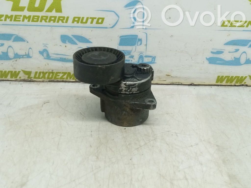 Mercedes-Benz E W211 Întinzător curea generator/alternator 