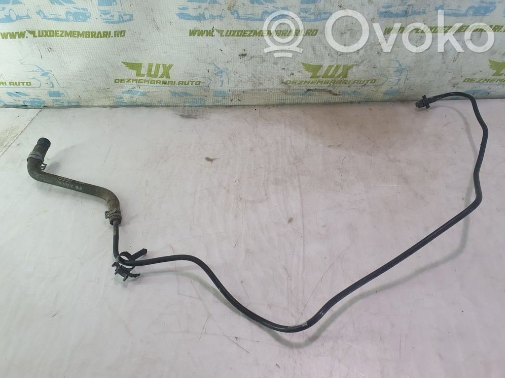Ford Ecosport Zbiornik wyrównawczy chłodziwa 