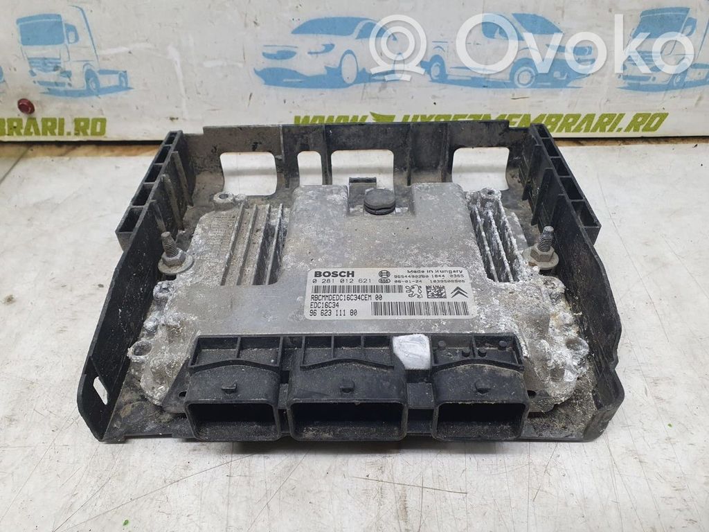 Engine control unit/module ECU