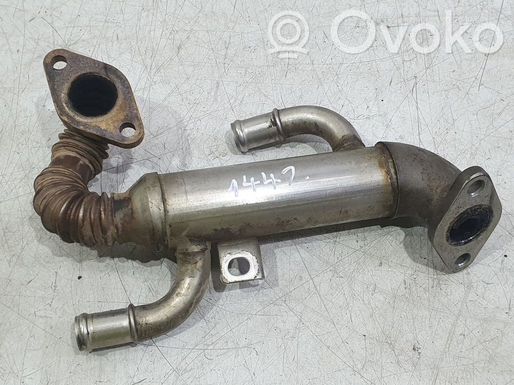 Skoda Fabia Mk1 (6Y) Valvola di raffreddamento EGR 