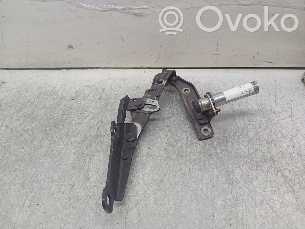 Lancia Thema Cerniere del vano motore/cofano