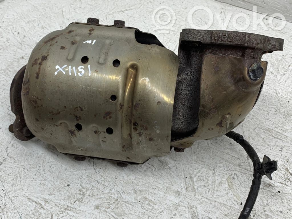 Filtr cząstek stałych Katalizator / FAP / DPF   W2BTZ0,19G16B,X1151