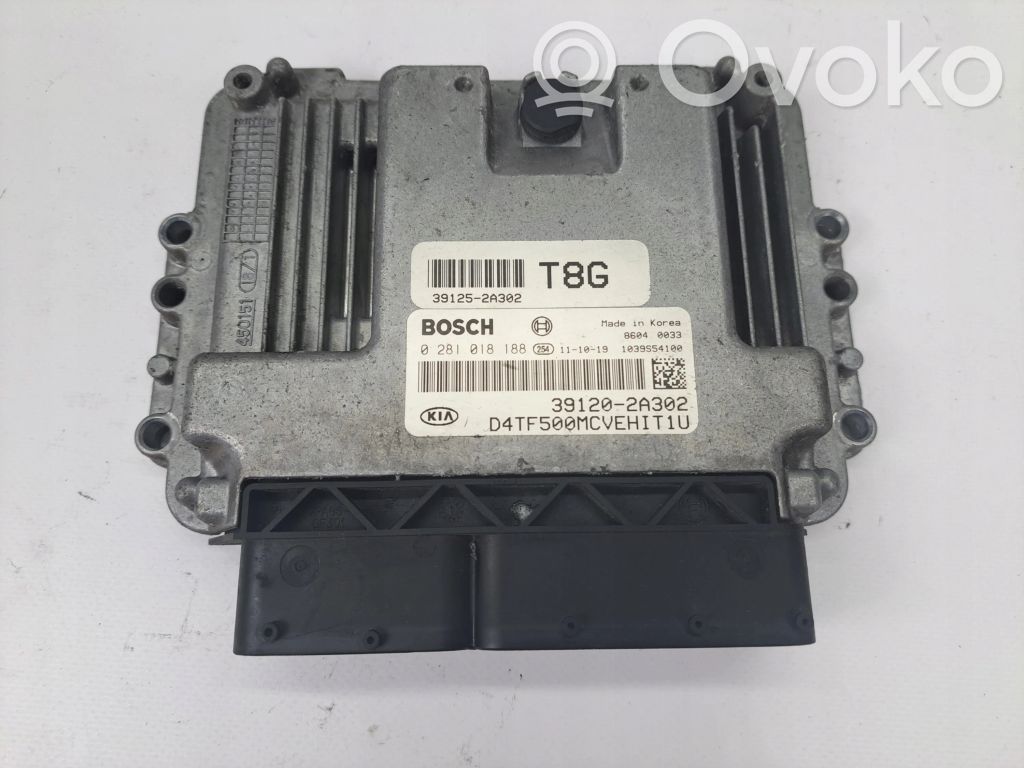 Engine control unit/module   391202A302