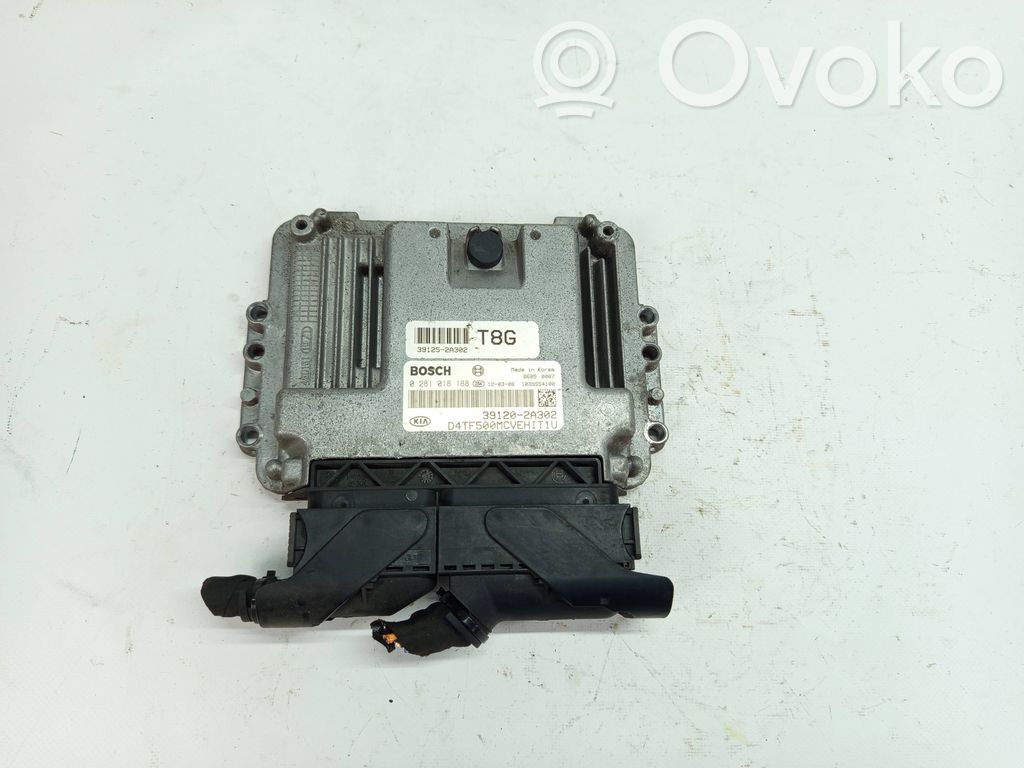 Engine control unit/module   391202A302,391252A302,0281018188