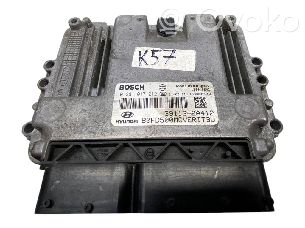 Engine control unit/module   391132A412,0281017212,1039S46913