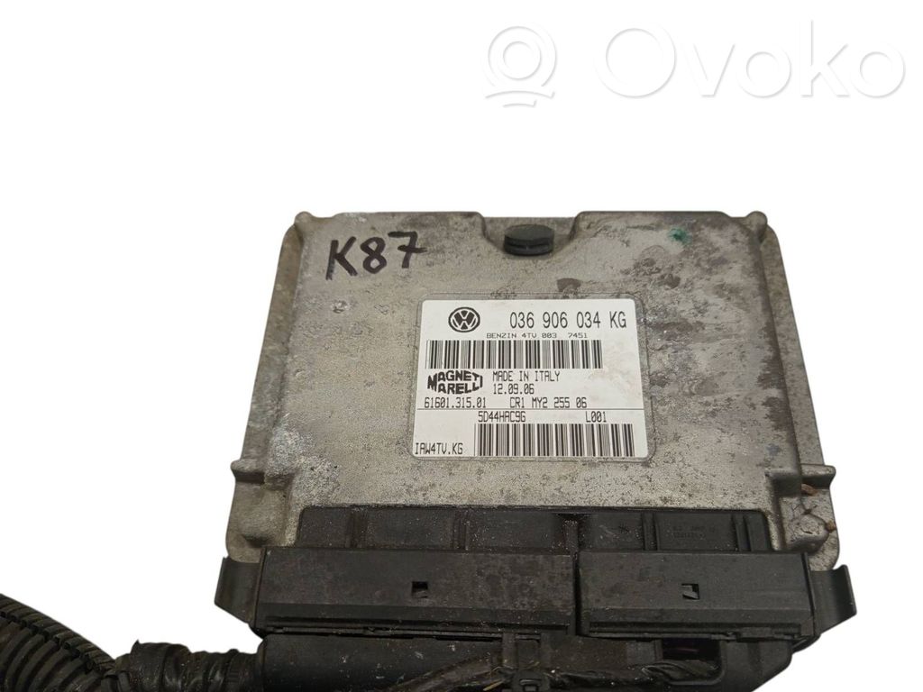 Volkswagen Polo IV 9N3 Unitate/modul de control motor 