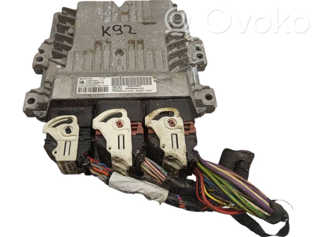 Engine control unit/module   9800268980,S180123008A
