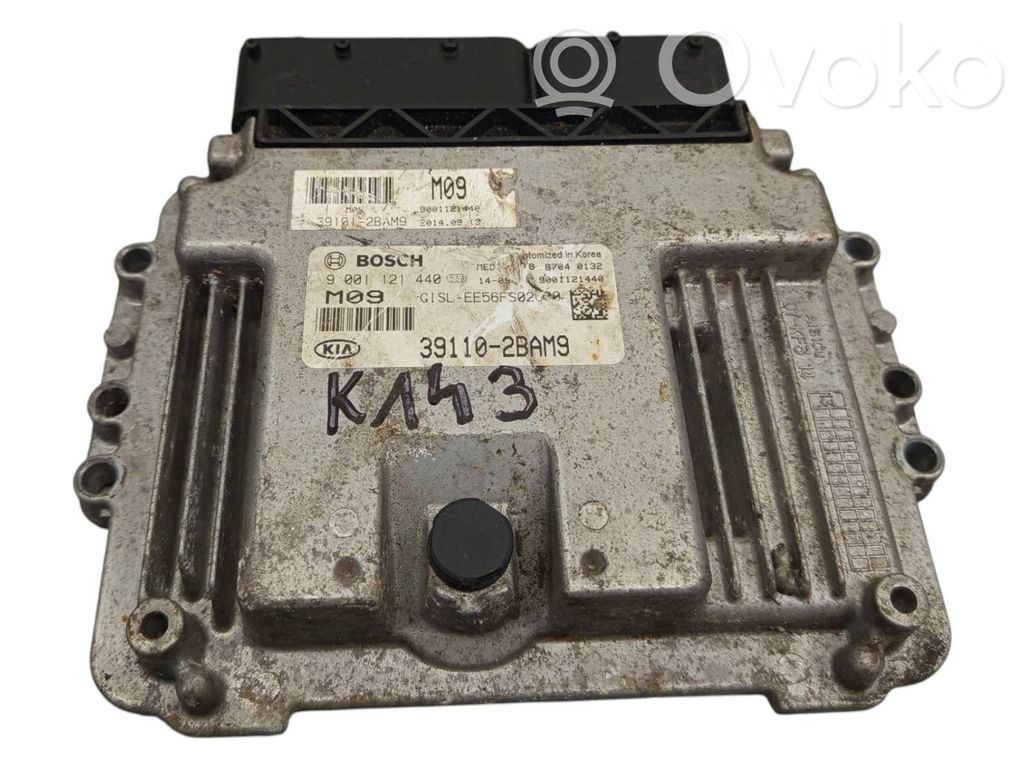 KIA Sportage Engine control unit/module 