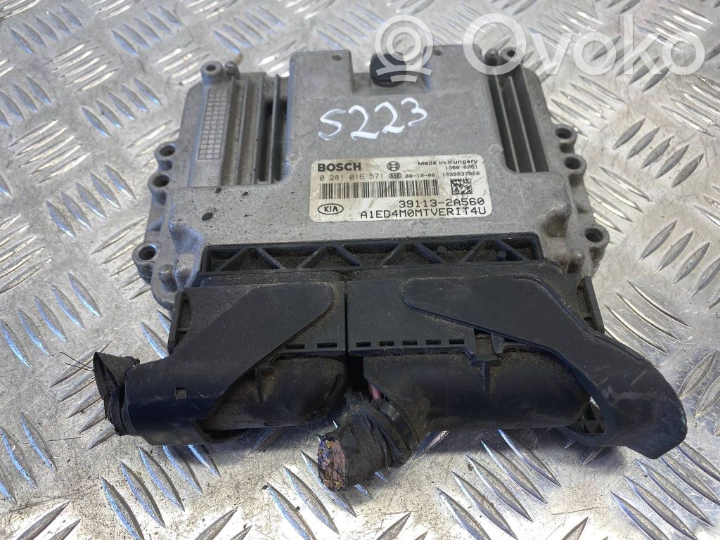 Unidad de control/módulo del motor   391132A560,391132A560,0281016571,1039S37868