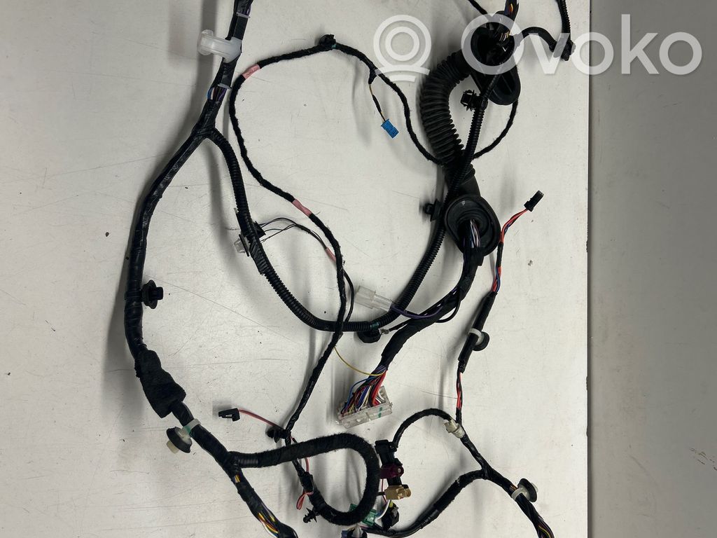 Front door wiring loom   206795700A