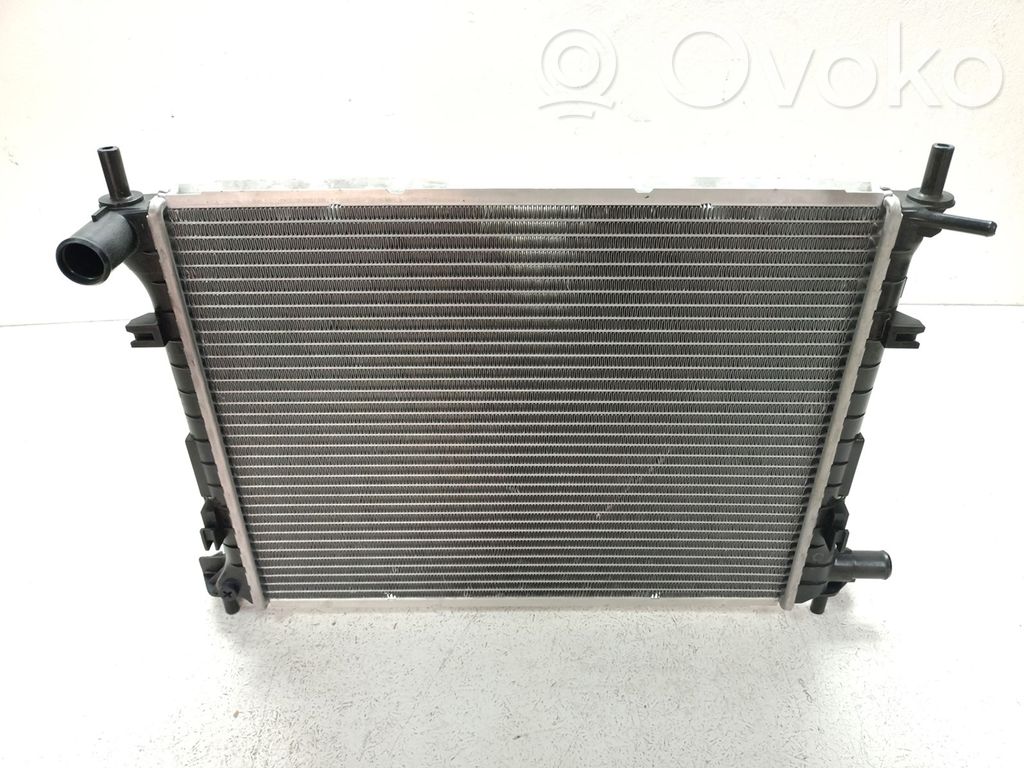 Coolant radiator   RNBC,1E1615200A,1E1615200B