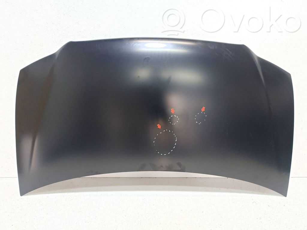 Engine bonnet/hood   240103,4674627AB,N274
