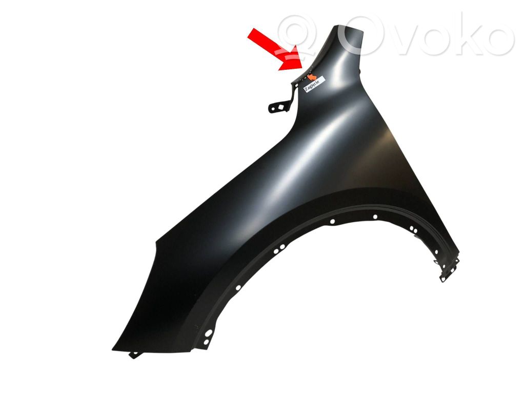 Guardabarro   LJ6Z16006C,REPLACEMENT,TAIWAN