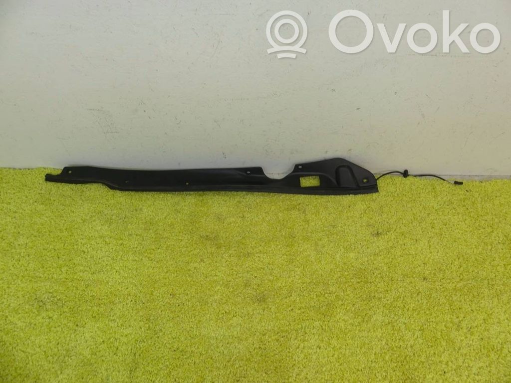 Tesla Model S Tailgate/trunk/boot lid 