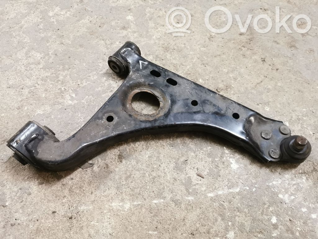 Front lower control arm/wishbone
