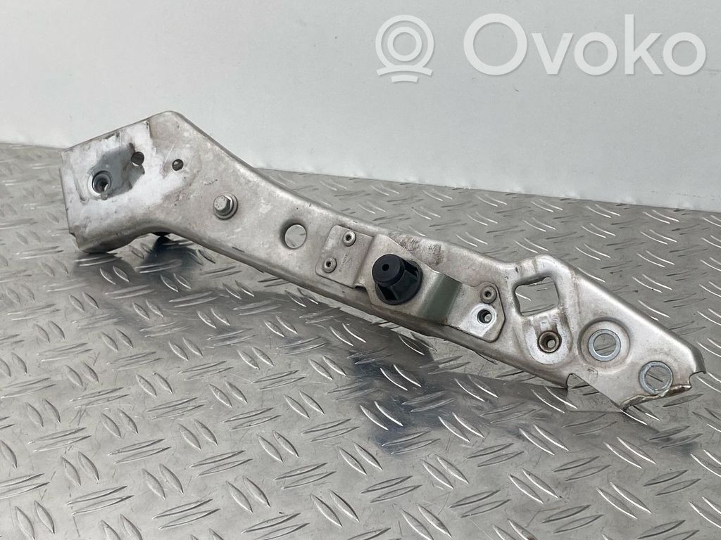 Renault Megane III Ornament sub far 