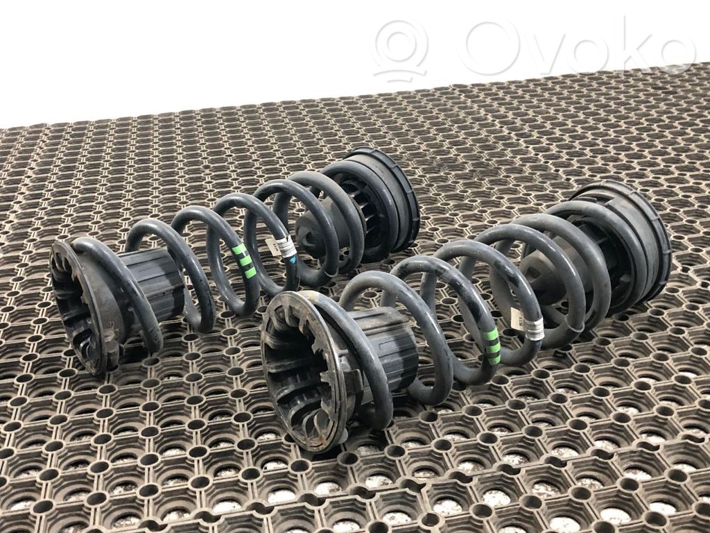 Rear coil spring