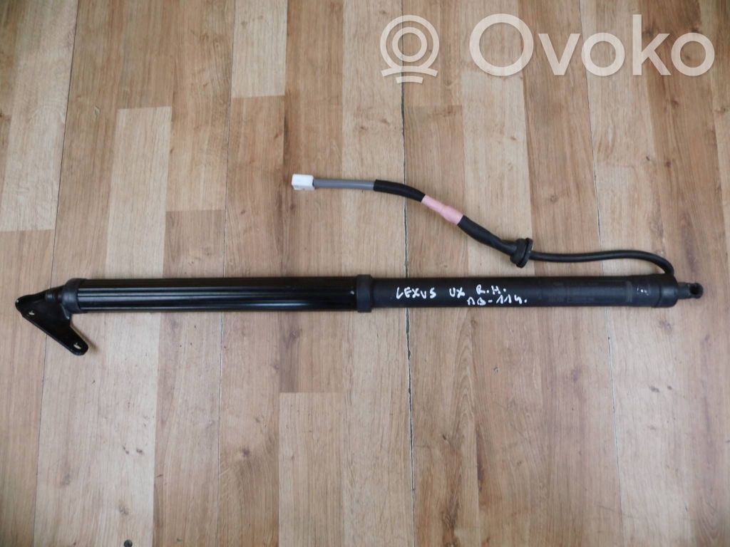 Lexus UX Tailgate strut 