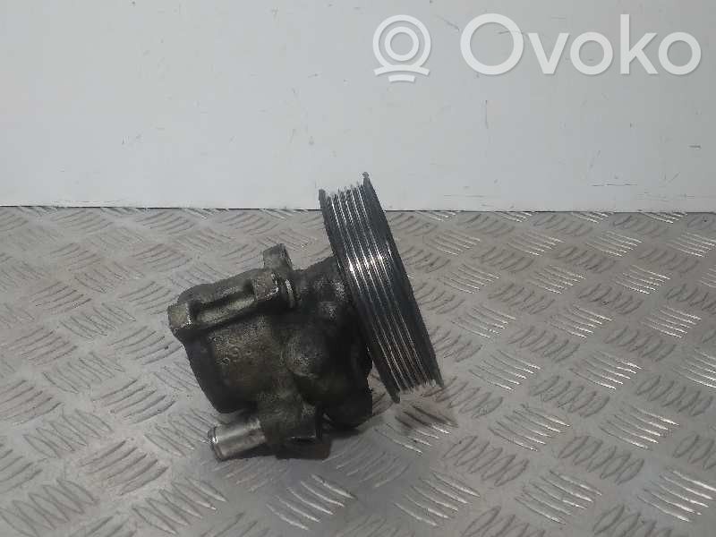 Volkswagen New Beetle Power steering pump 