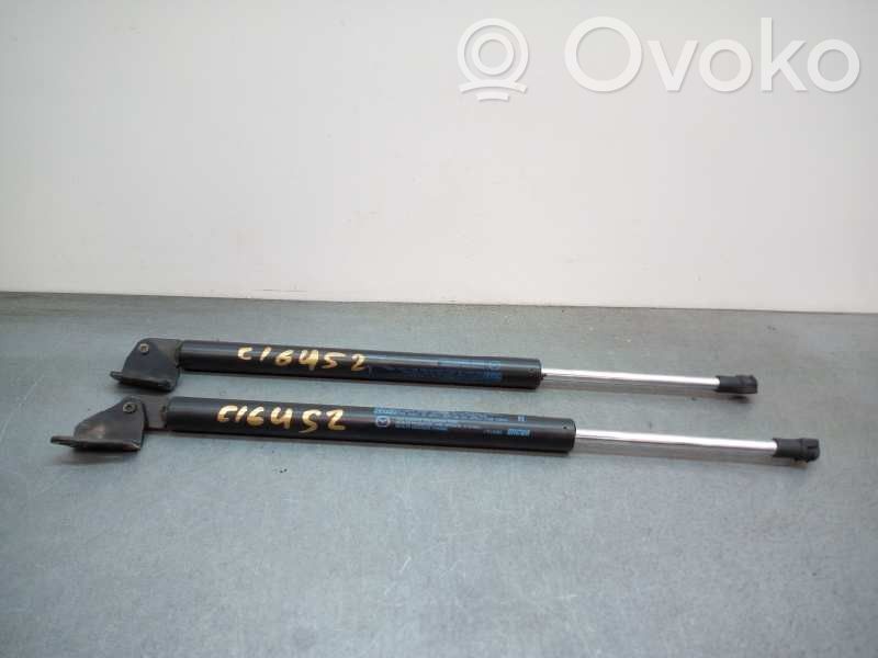 Tailgate/trunk strut/damper   42CM