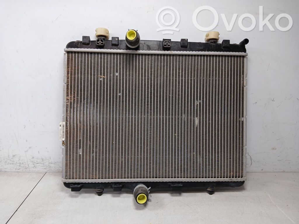 Opel Crossland X Radiator lichid răcire 