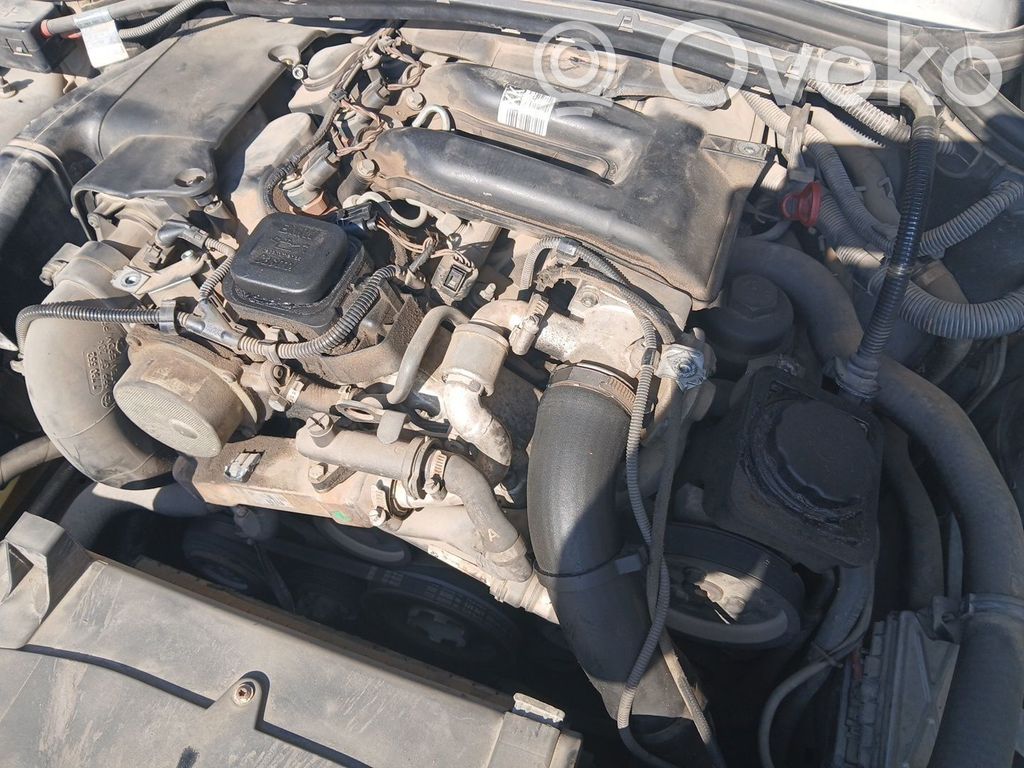 Motor   204D4