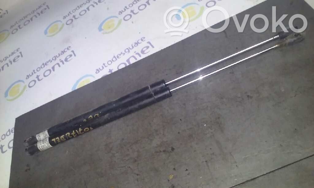 Tata Safari Front bonnet/hood damper/strut 