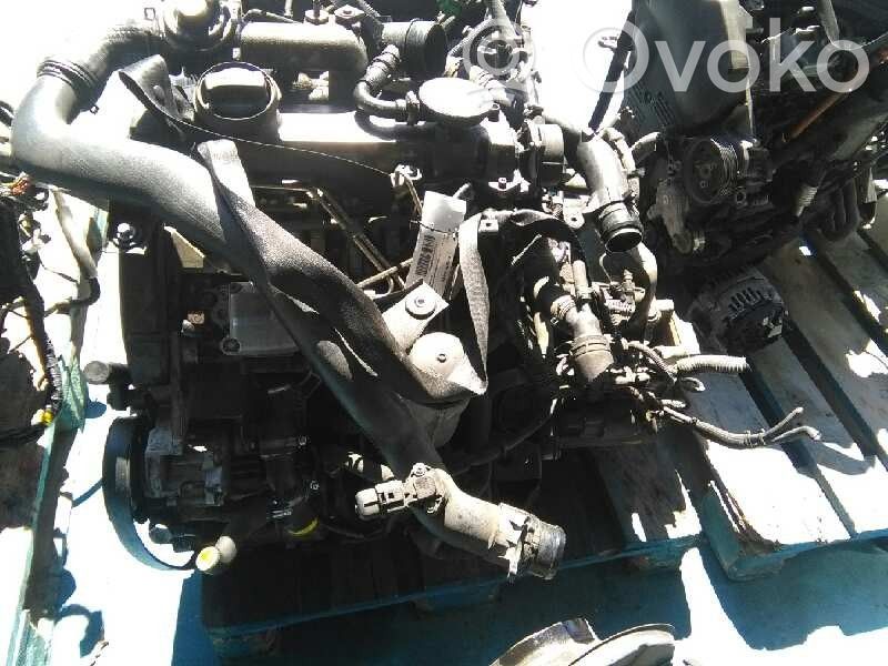 Motor   EXPORTACION