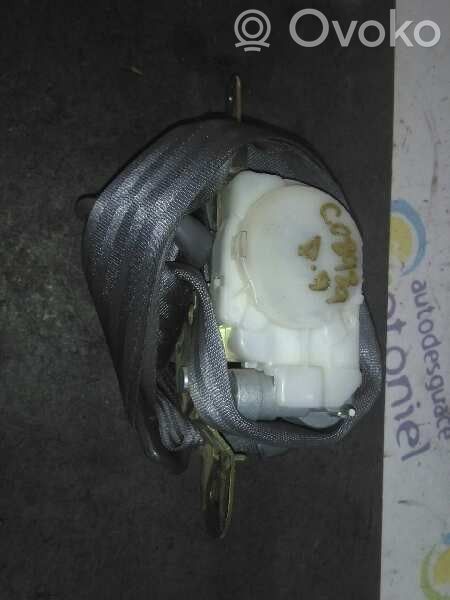 Sicherheitsgurt vorne