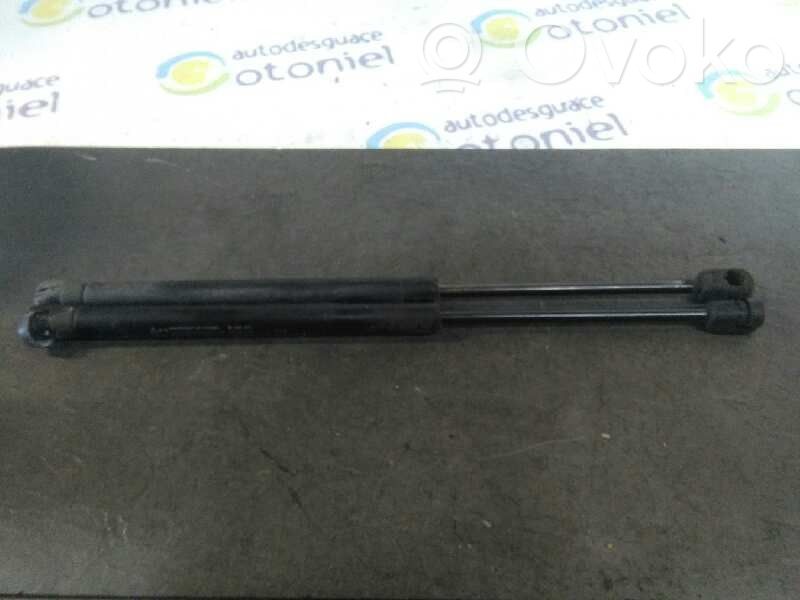 Chevrolet Aveo Tailgate/trunk strut/damper 