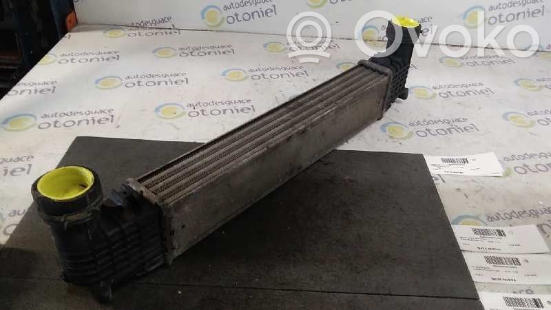 Radiator intercooler