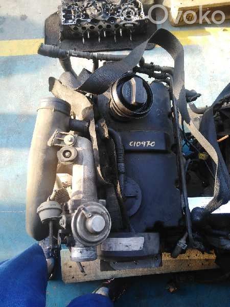 Motor