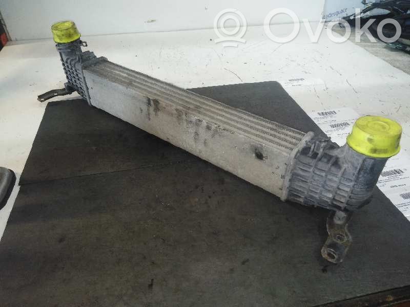 Radiador intercooler