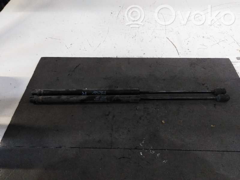 Peugeot 4007 Tailgate/trunk strut/damper 
