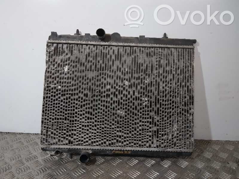 Peugeot 206+ Radiator lichid răcire 