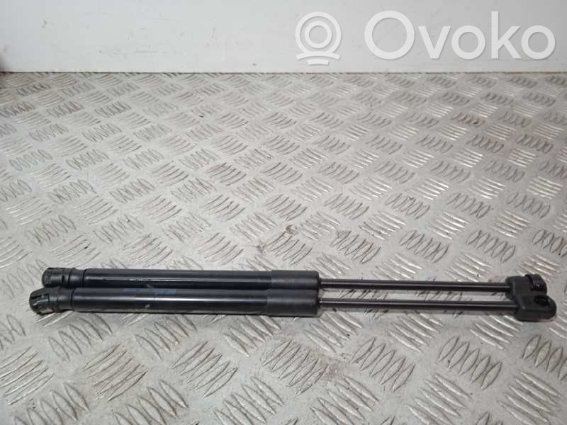 Volkswagen Passat Alltrack Amortizor hayon 