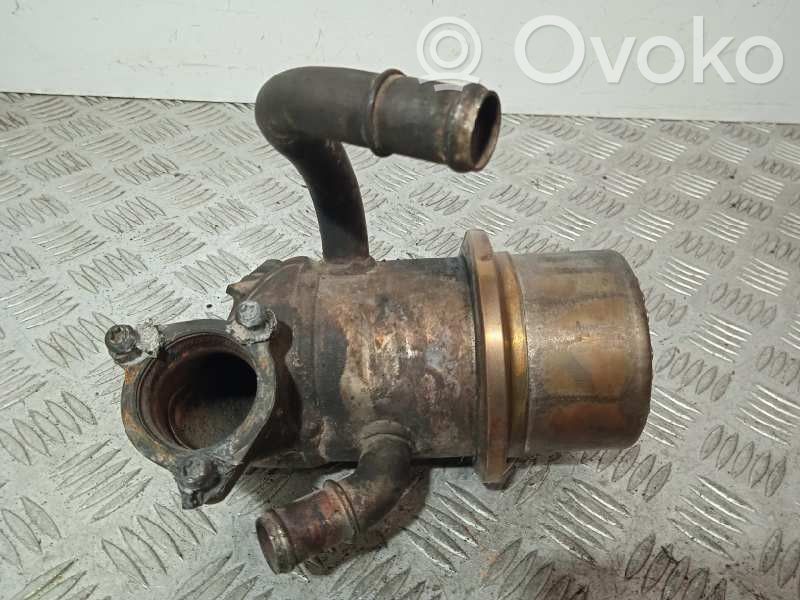 Seat Leon (5F) Valvola di raffreddamento EGR